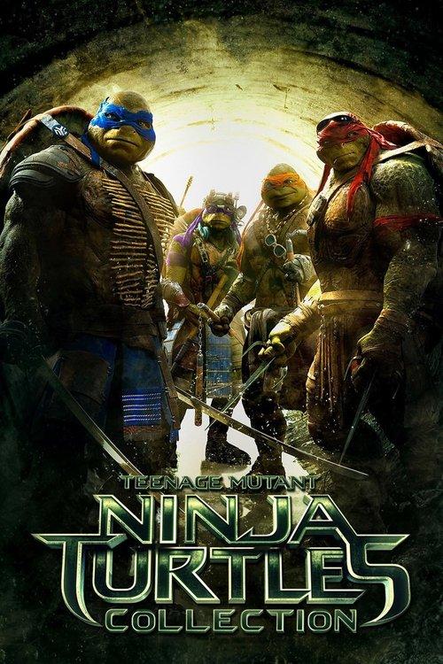 Teenage Mutant Ninja Turtles (Remake) Collection koleksiyon afişi