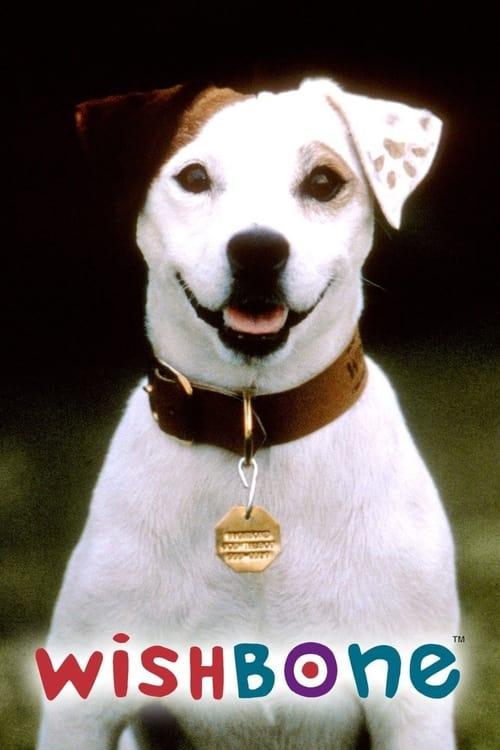 Wishbone dizi afişi