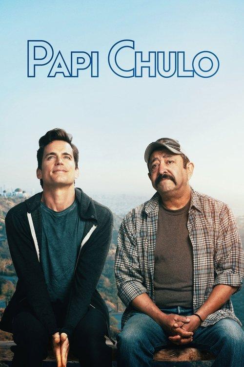 Papi Chulo film afişi