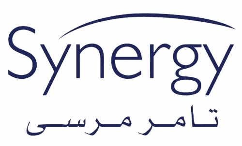 Synergy logo