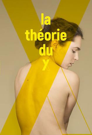 The Theory of Y dizi afişi
