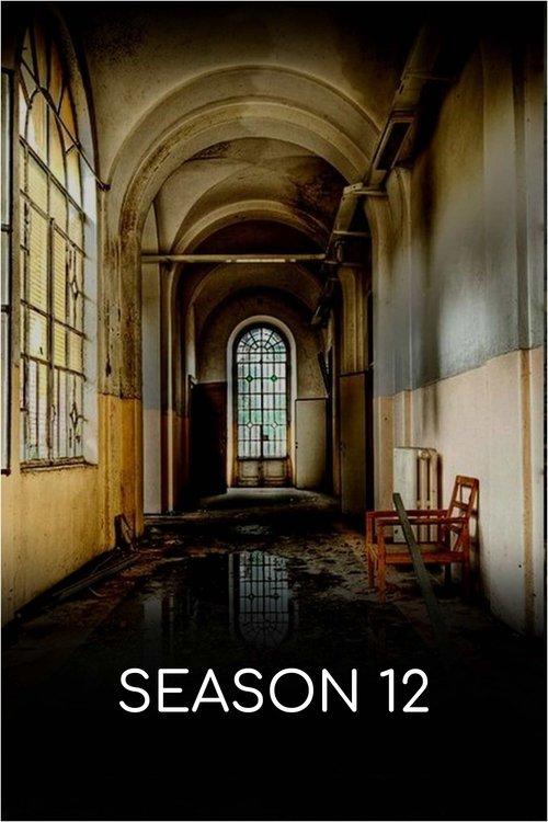 Abandoned Engineering Sezon 12