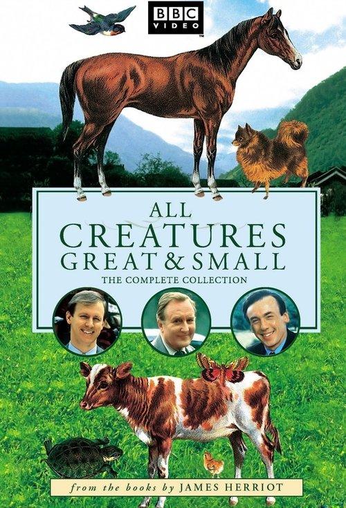 All Creatures Great and Small dizi afişi