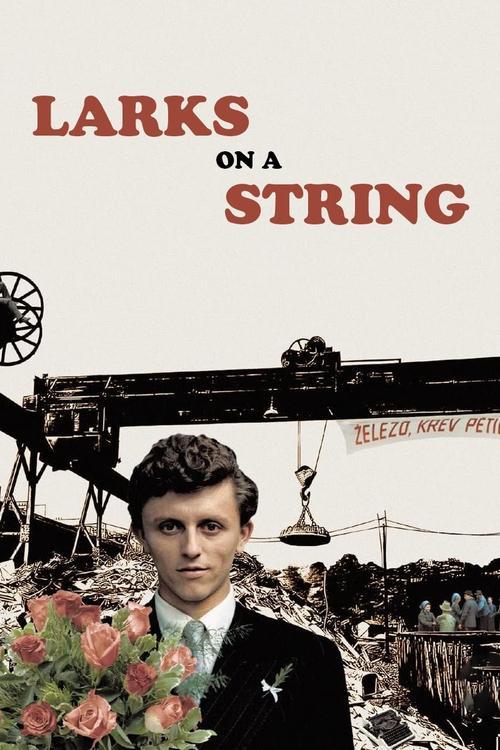 Larks on a String film afişi