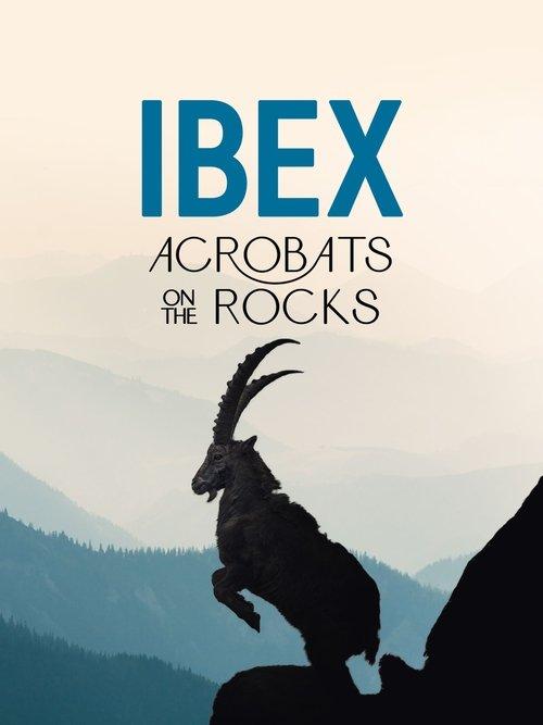 Ibex: Acrobats on the Rocks film afişi