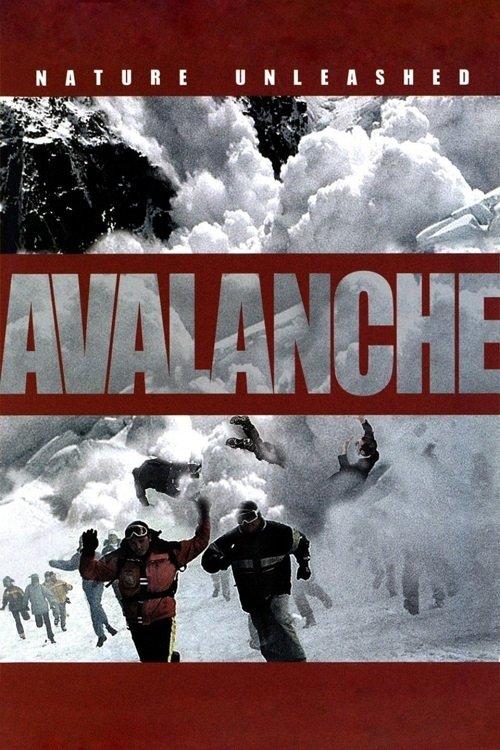 Nature Unleashed: Avalanche film afişi