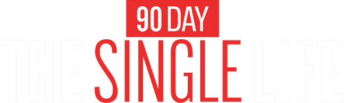 90 Day: The Single Life logo
