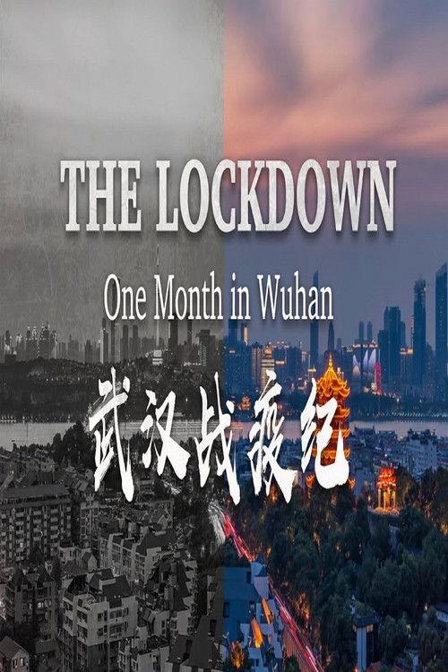 The Lockdown: One Month in Wuhan film afişi