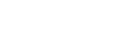 The Time of Fever logo