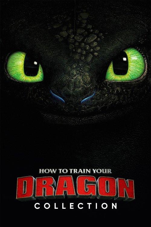 How to Train Your Dragon Collection koleksiyon afişi