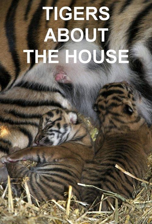 Tigers About the House dizi afişi
