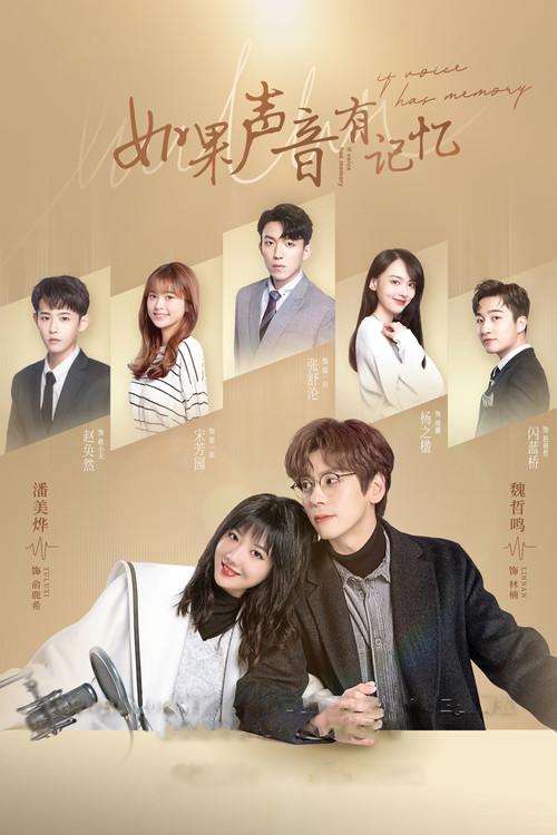 If the Voice Has Memory dizi afişi