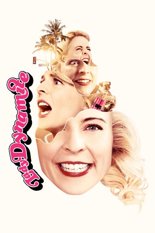Lady Dynamite dizi afişi