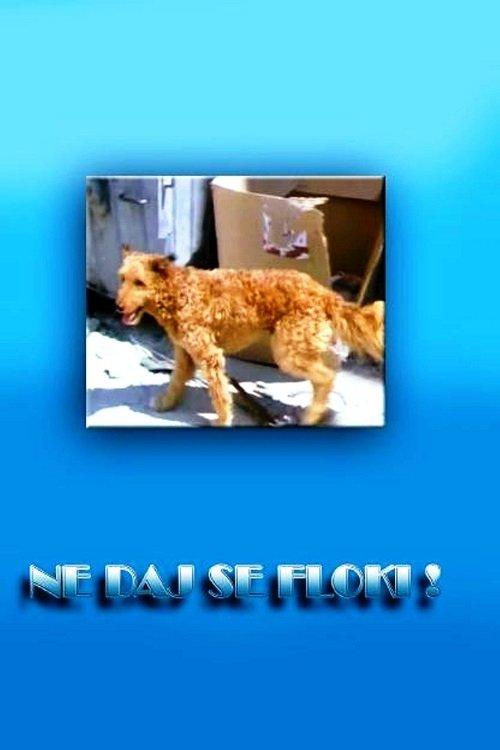 Don't Give in, Flockey! dizi afişi