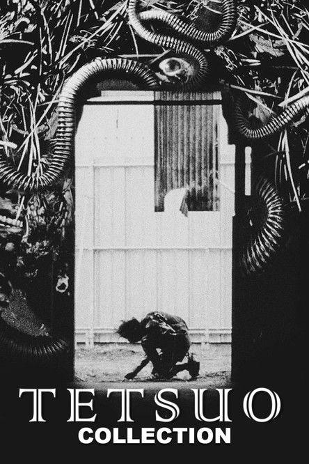 Tetsuo Collection koleksiyon afişi