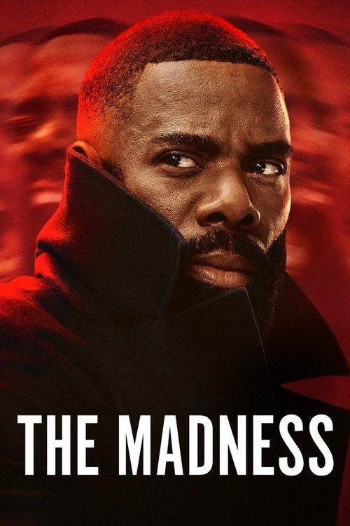 The Madness dizi afişi