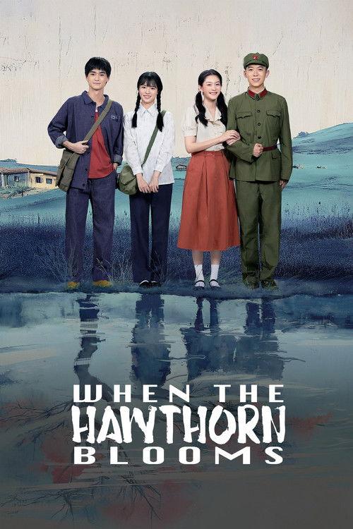 When the Hawthorn Blooms dizi afişi