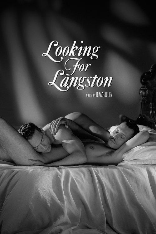 Looking for Langston film afişi