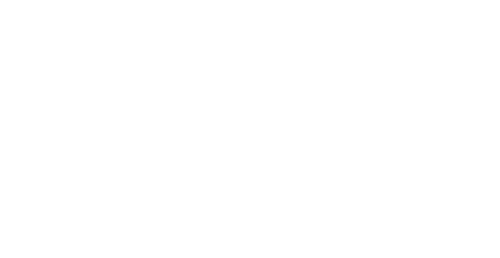 Big RV Remix logo