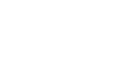 Visual Prison logo