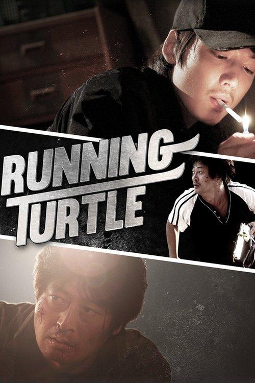 Running Turtle film afişi