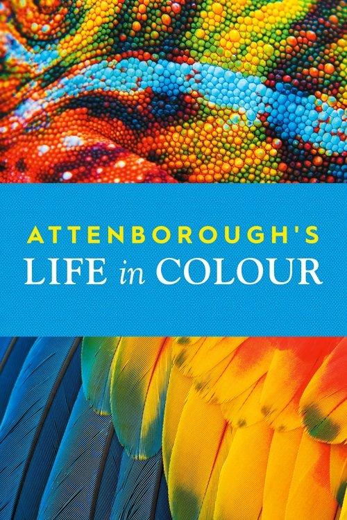 Attenborough's Life in Colour dizi afişi