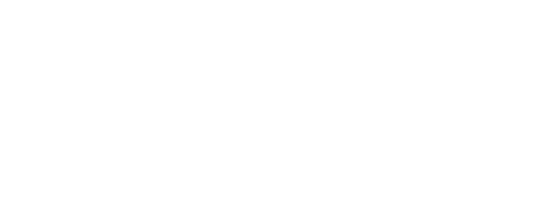 Back From the Brink logo