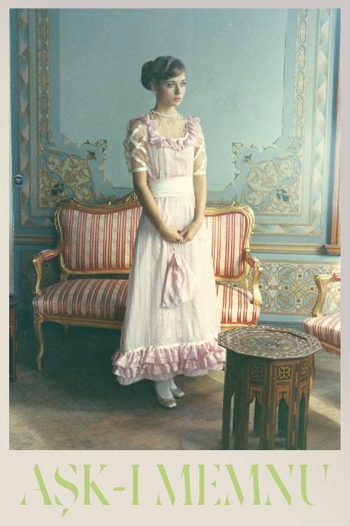 The Forbidden Love dizi afişi