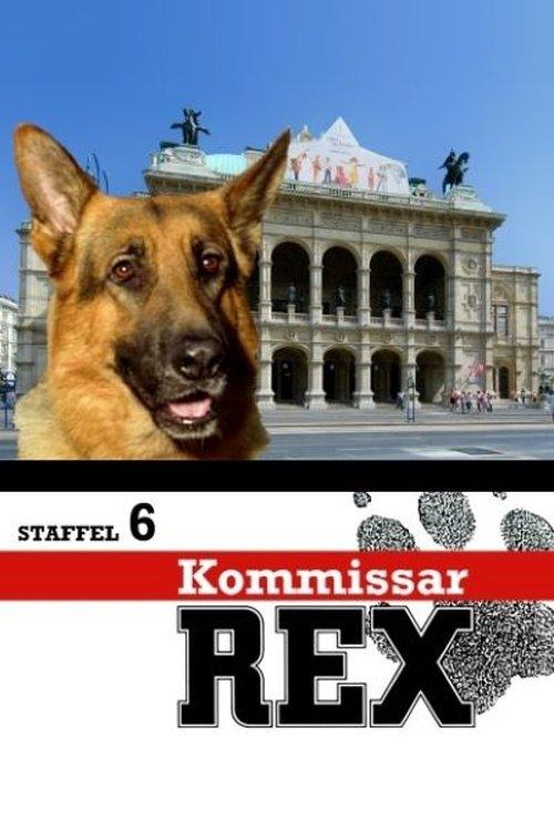 Inspector Rex Sezon 6