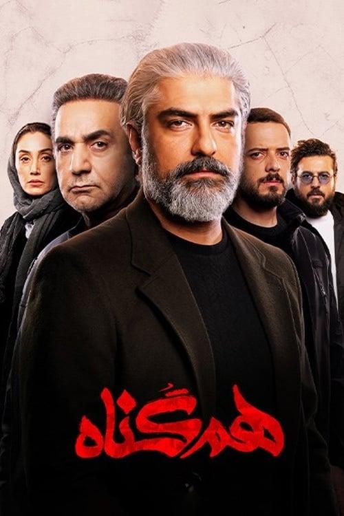 The Accomplice dizi afişi