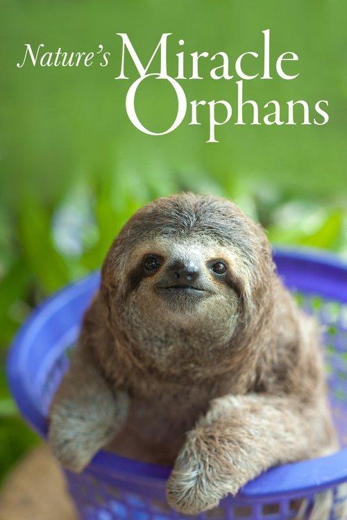 Nature's Miracle Orphans dizi afişi