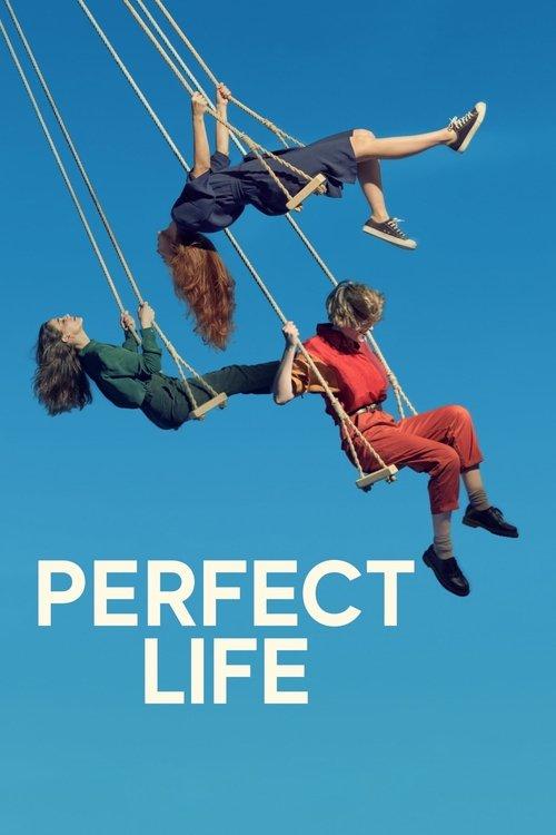 Perfect Life dizi afişi