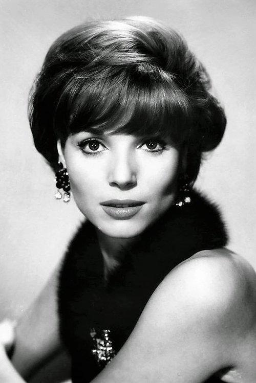 Elsa Martinelli fotoğrafı