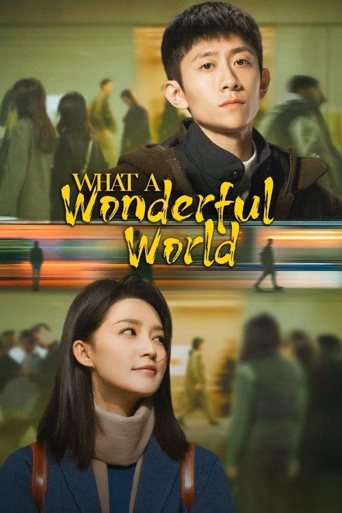 What a Wonderful World dizi afişi