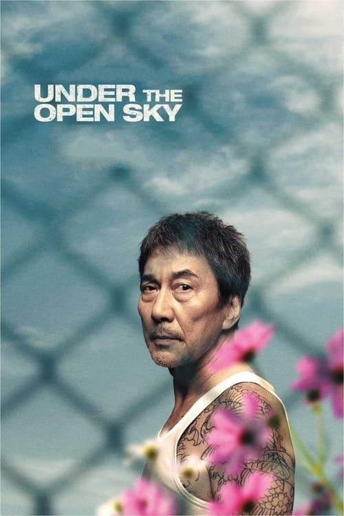 Under the Open Sky film afişi