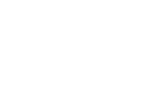 The Bank Hacker logo