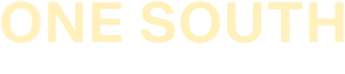 One South: Portrait of a Psych Unit logo