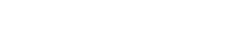 A Brief History of the Future logo