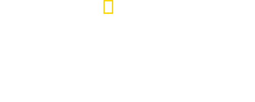 Europe from Above logo