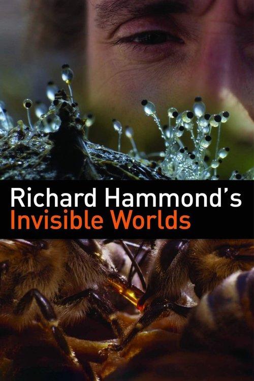 Richard Hammond's Invisible Worlds dizi afişi