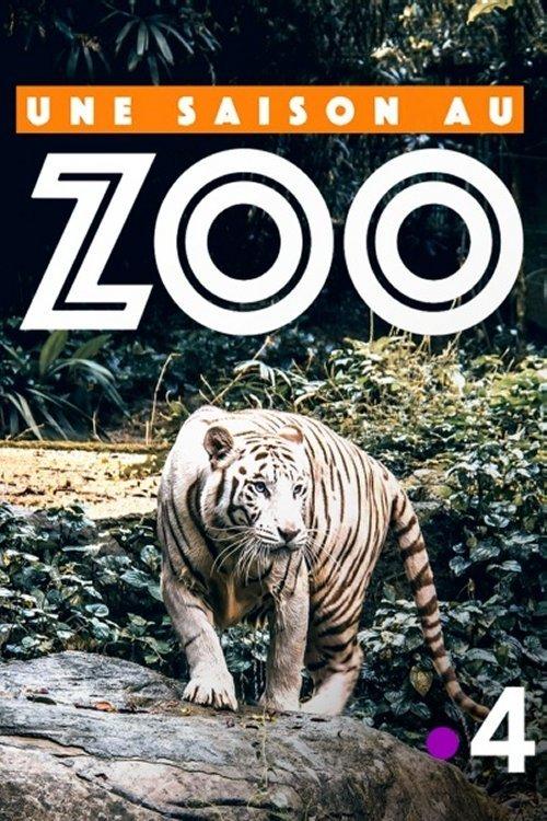 Une saison au zoo dizi afişi
