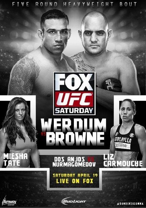 UFC on Fox 11: Werdum vs. Browne film afişi