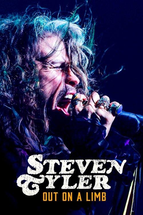 Steven Tyler: Out on a Limb film afişi