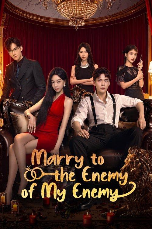 Marry to the Enemy of My Enemy dizi afişi