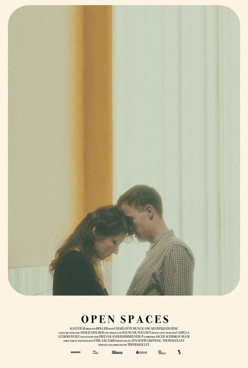 Open Spaces film afişi
