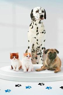 A l'école des vétos Sezon 1