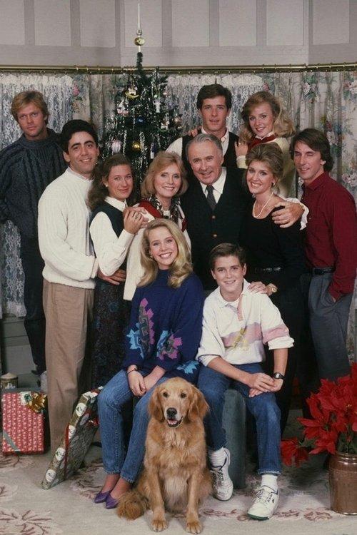 A Year in the Life dizi afişi