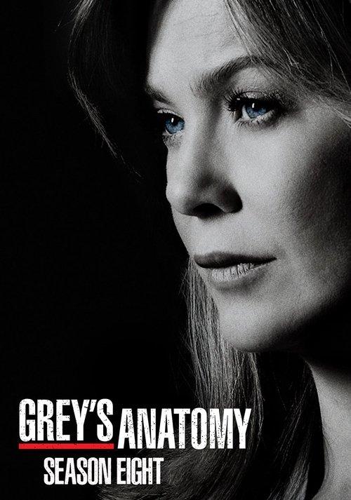 Grey's Anatomy Sezon 8