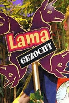 Lama Gezocht dizi afişi