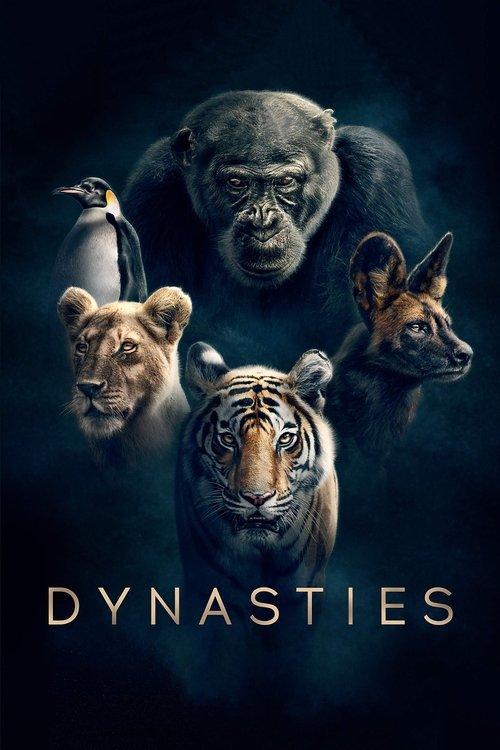 Dynasties dizi afişi